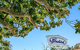 Bluebird Inn Cambria California